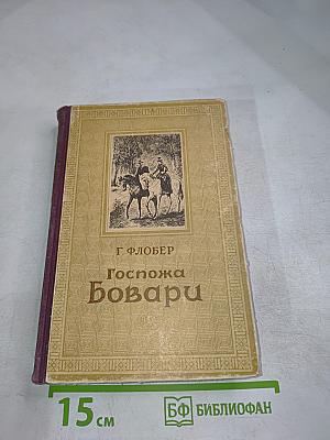 Госпожа Бовари. Провинциальные нравы