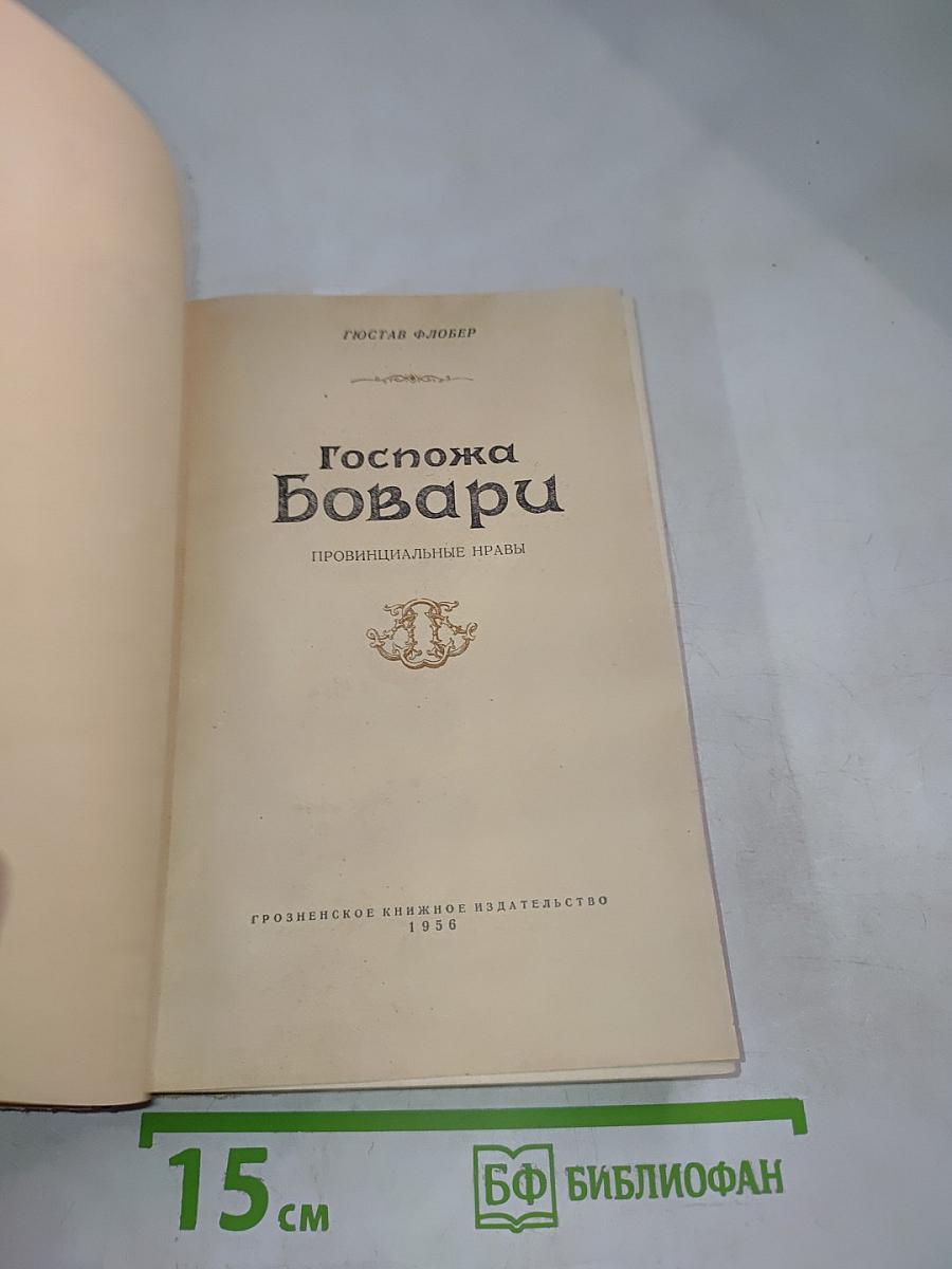 Госпожа Бовари. Провинциальные нравы