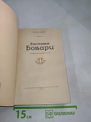 Госпожа Бовари. Провинциальные нравы