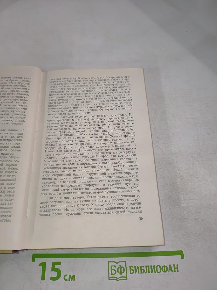 Госпожа Бовари. Провинциальные нравы