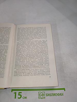 Госпожа Бовари. Провинциальные нравы