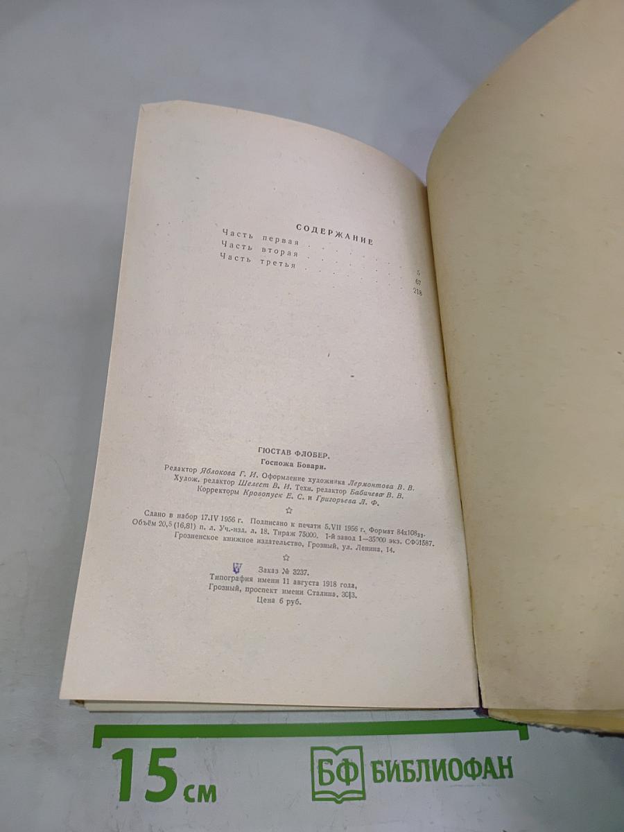 Госпожа Бовари. Провинциальные нравы