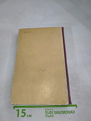 Госпожа Бовари. Провинциальные нравы