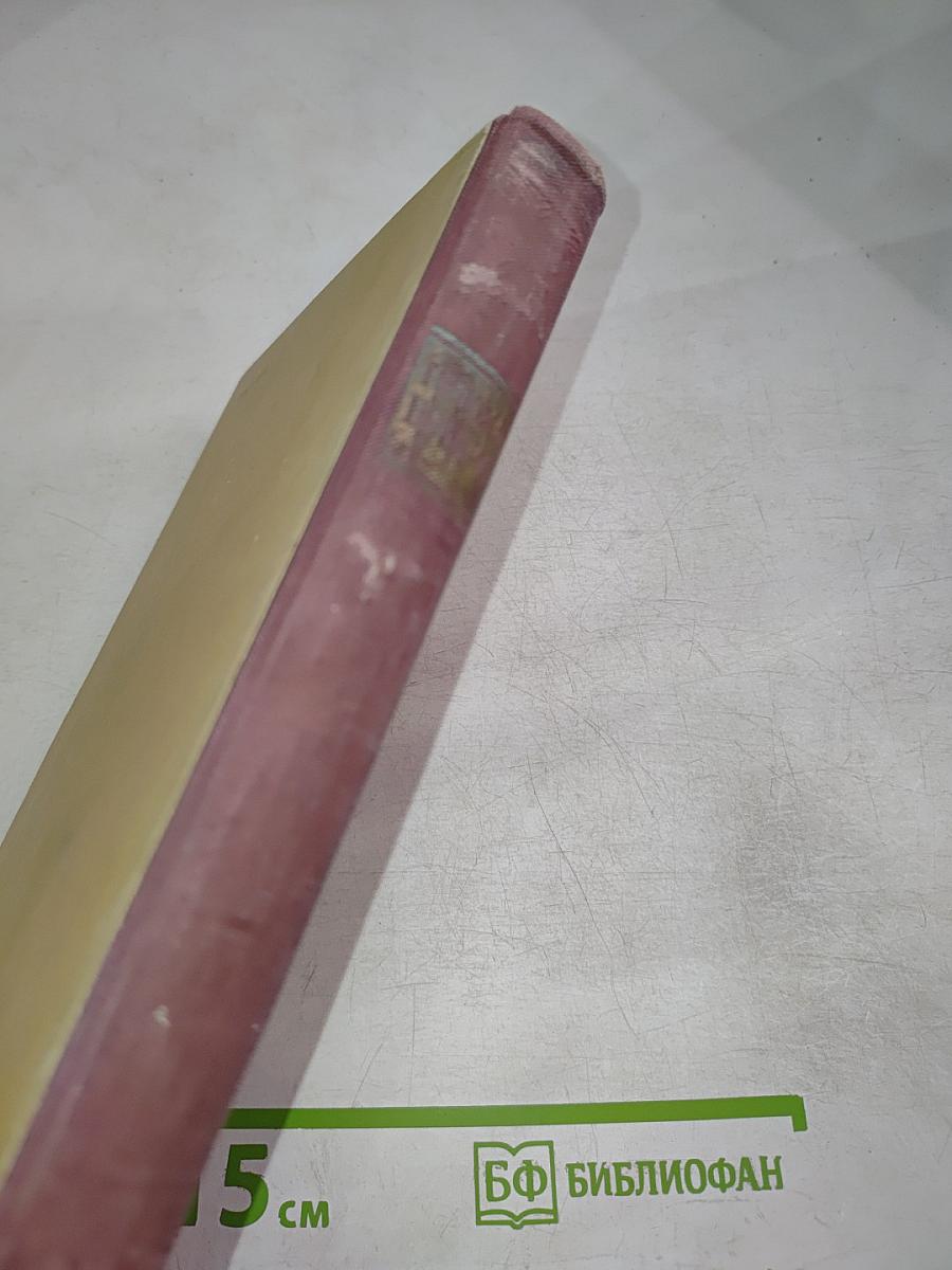 Госпожа Бовари. Провинциальные нравы