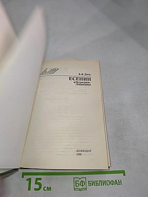 Есенин в Петрограде – Ленинграде