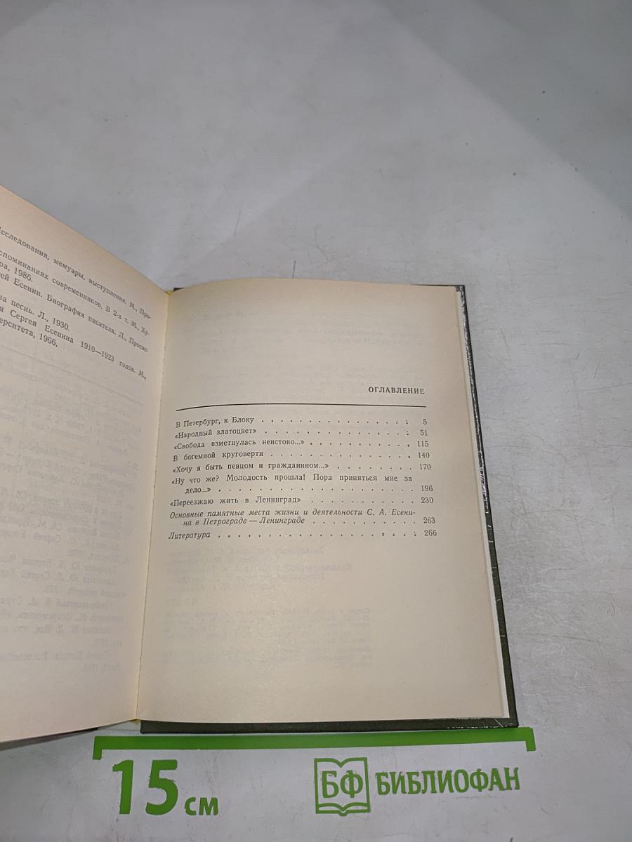 Есенин в Петрограде – Ленинграде