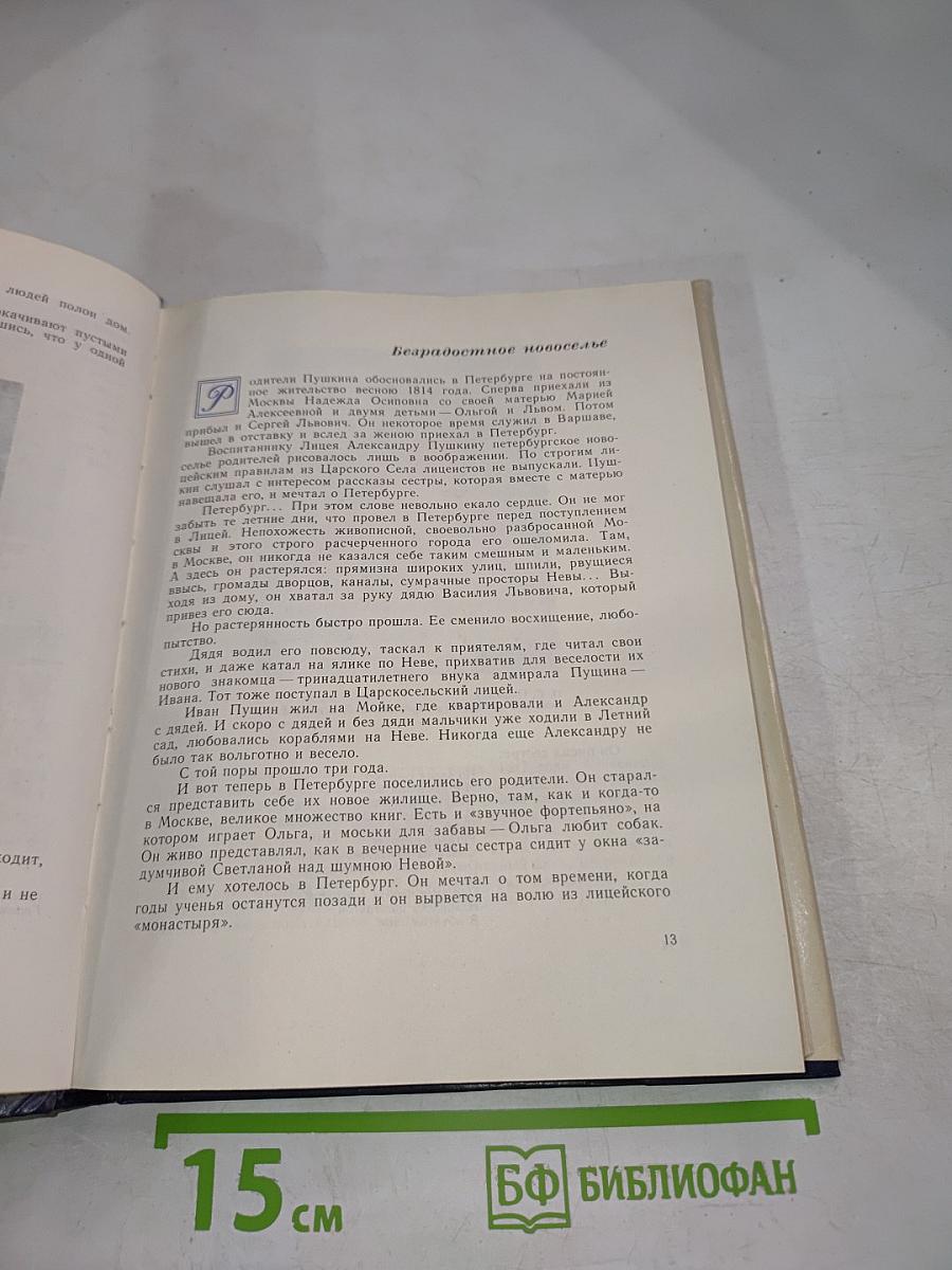 На брегах Невы