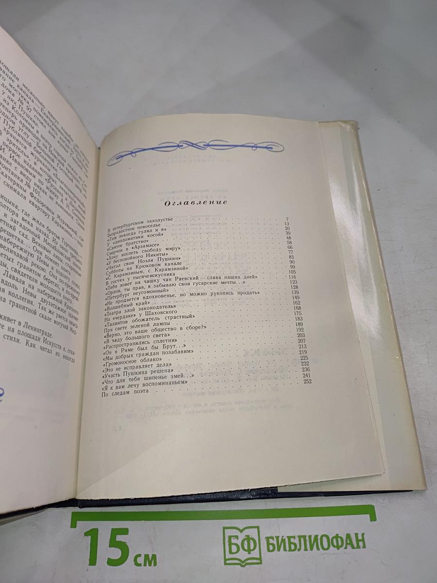 На брегах Невы