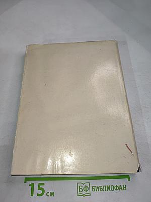 На брегах Невы