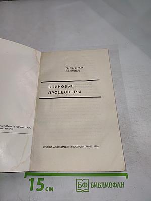 Спиновые процессоры