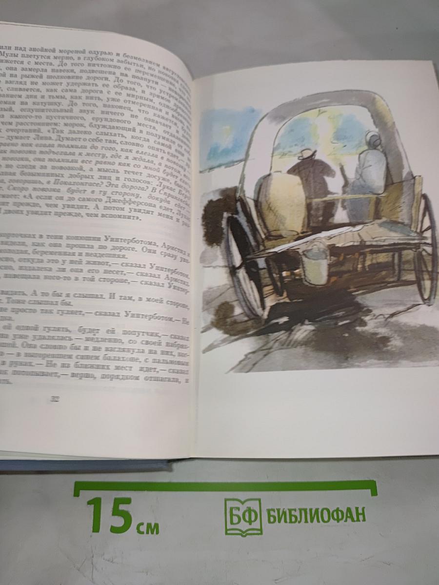 Свет в августе. Особняк