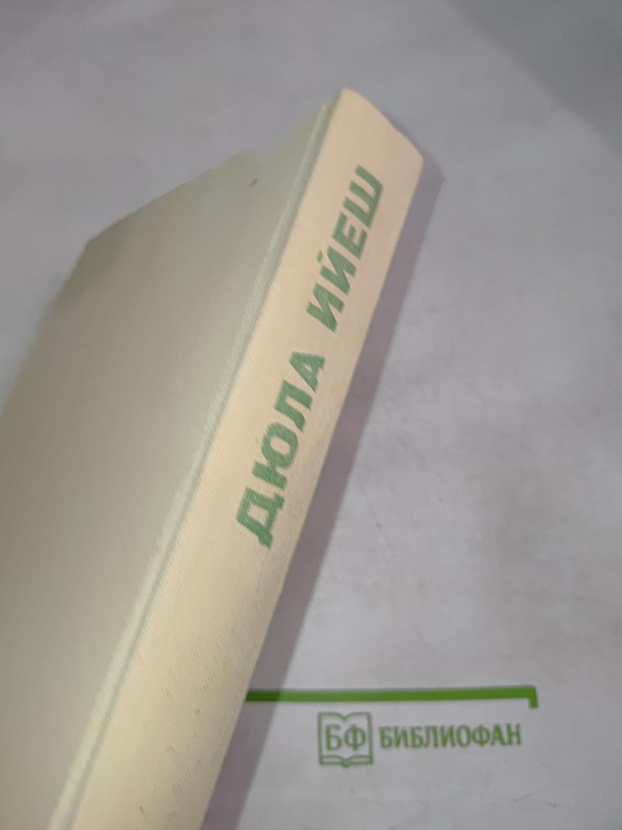 Проза Дюлы Ийеша