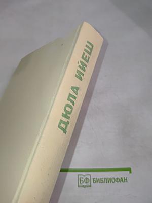 Проза Дюлы Ийеша