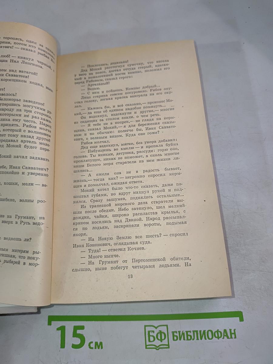 Россия молодая. Книга первая