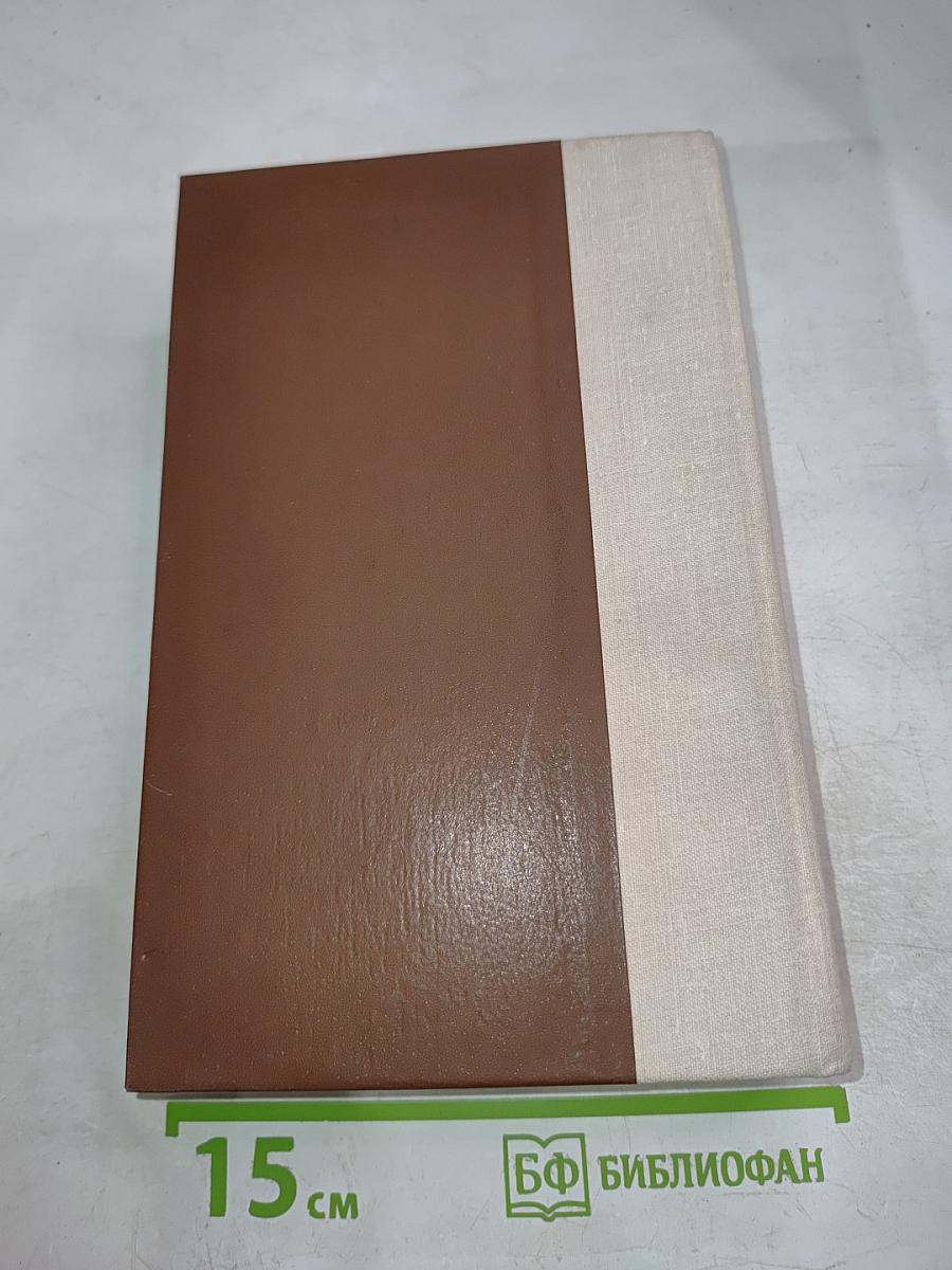 Россия молодая. Книга первая