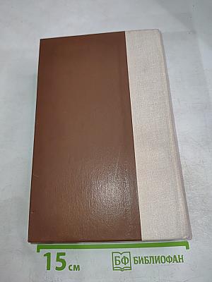 Россия молодая. Книга первая