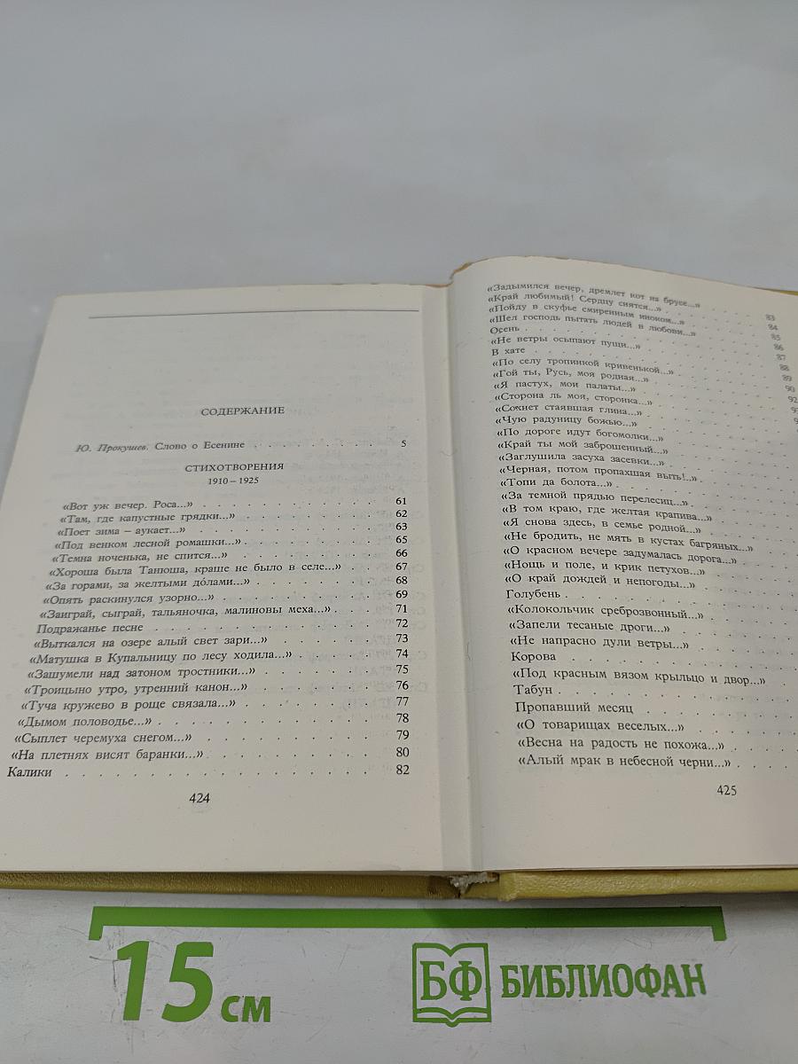 Собрание сочинений. Том I. Стихотворения