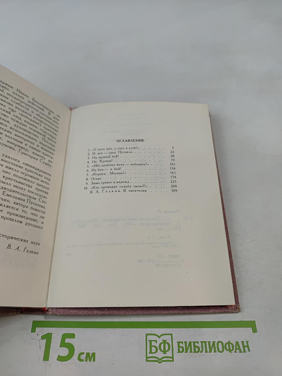 Оплачена многая кровью. Повесть об Иване Болотникове