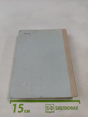 Грач—птица весенняя