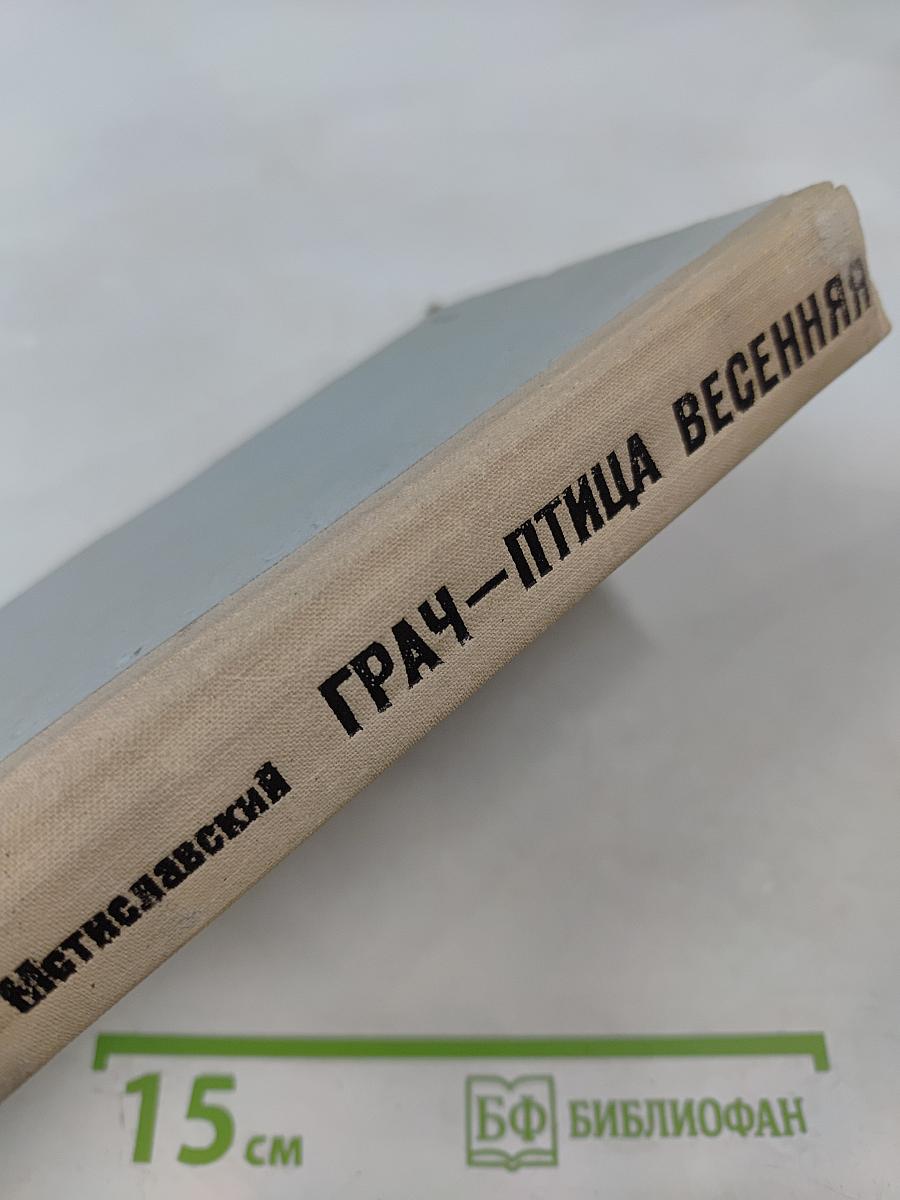 Грач—птица весенняя