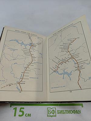 Спутник пассажира