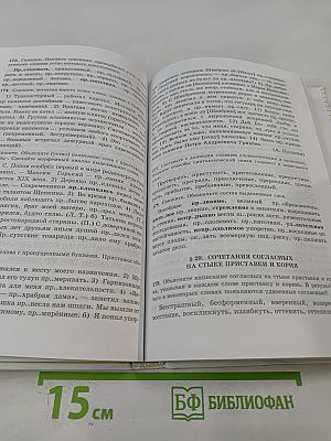 Русский язык 10-11 классы