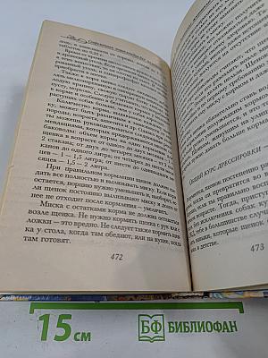 Современная энциклопедия для мальчиков