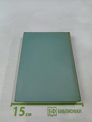 Собрание сочинений. Том второй. Стихотворения (Октябрь 1917-1924)