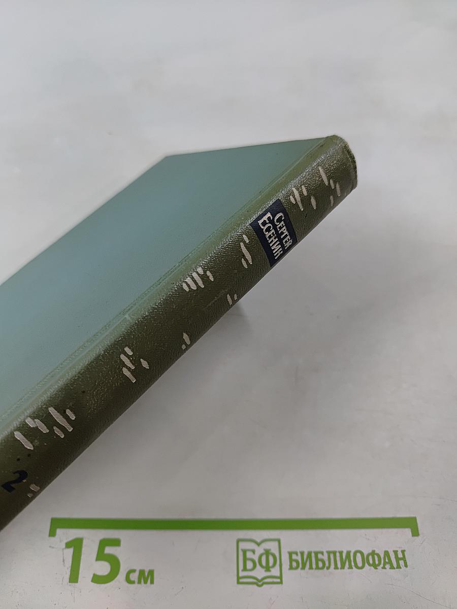 Собрание сочинений. Том второй. Стихотворения (Октябрь 1917-1924)