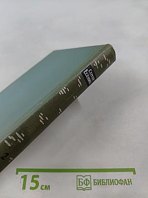 Собрание сочинений. Том второй. Стихотворения (Октябрь 1917-1924)
