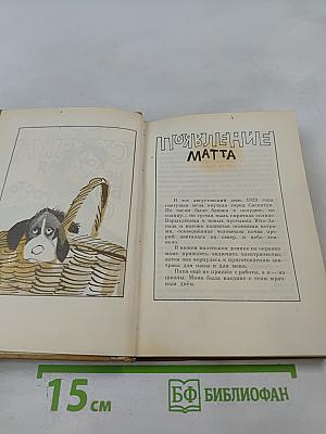 Собака! которая не хотела быть просто собакой