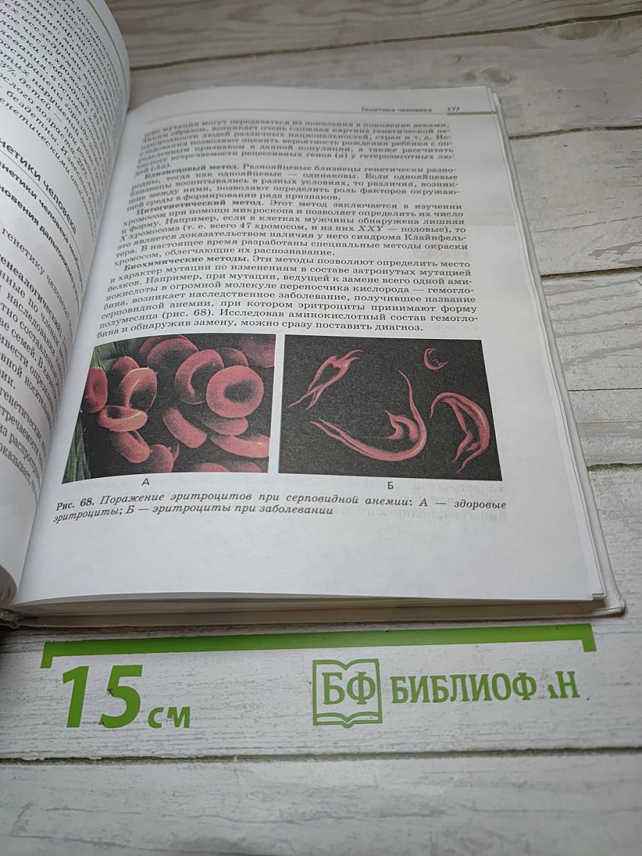 Биология. Общая биология. 10-11 классы