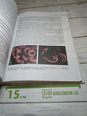Биология. Общая биология. 10-11 классы