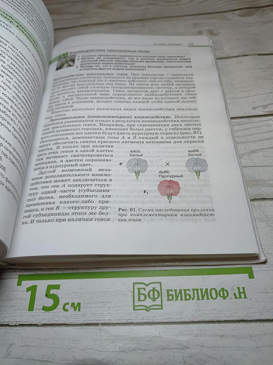 Биология. Общая биология. 10-11 классы