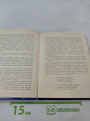 БЛОК в Петербурге-Петрограде