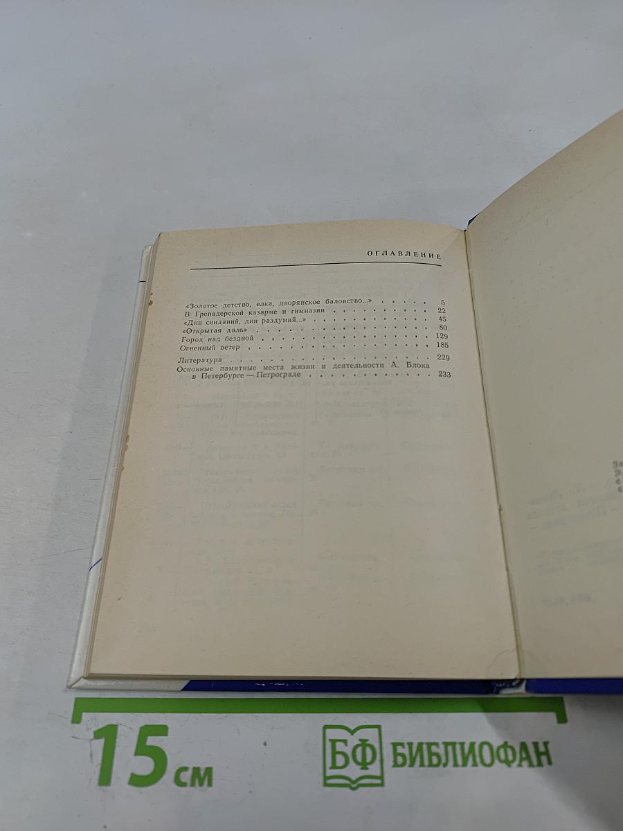 БЛОК в Петербурге-Петрограде