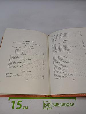 Александр Чуркин. Стихи. Песни. Поэмы
