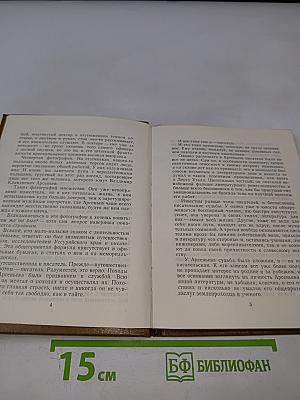 Писатель Арсеньев