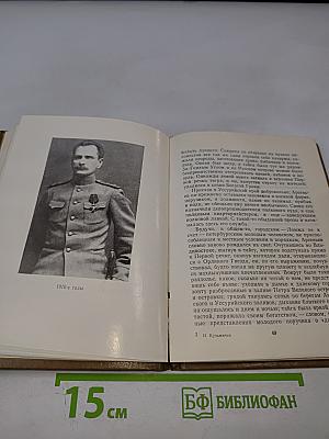 Писатель Арсеньев