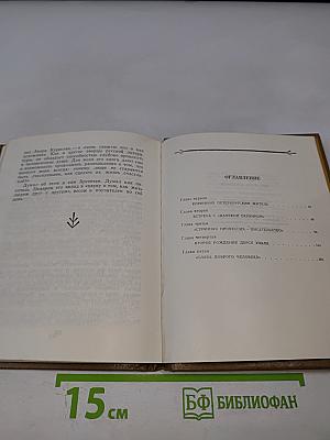 Писатель Арсеньев