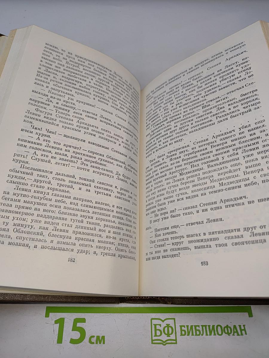 Анна Каренина. Роман в восьми частях. Том восьмой