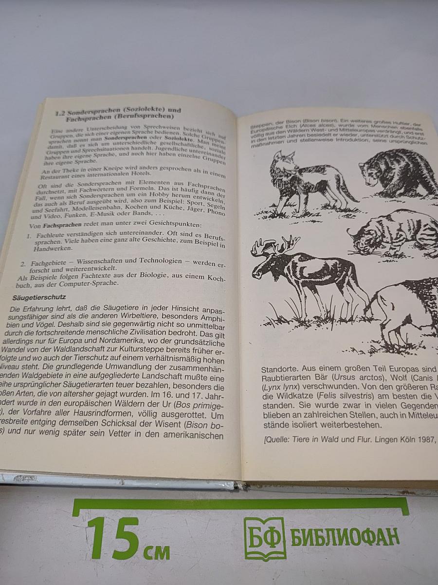 Grammatik auf einen Blick