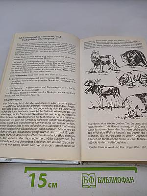 Grammatik auf einen Blick