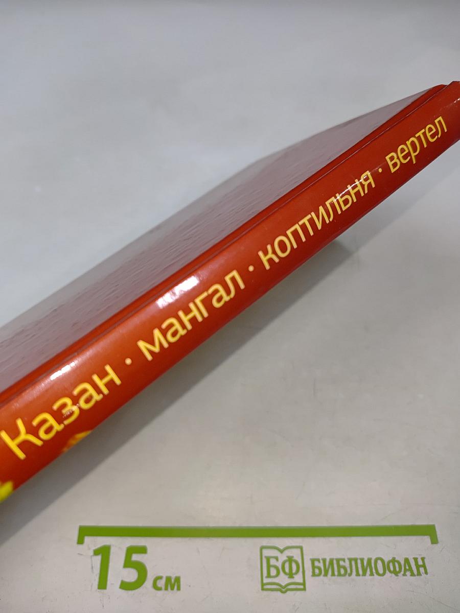 Казан мангал коптильня вертел