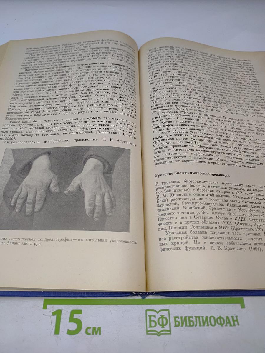 Геохимическая экология: Очерки