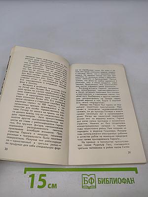 С дипломатической миссией в Берлин 1940-1941