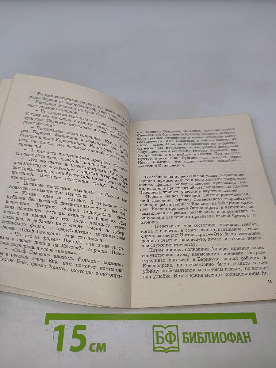 Поход за последним «Тигром»