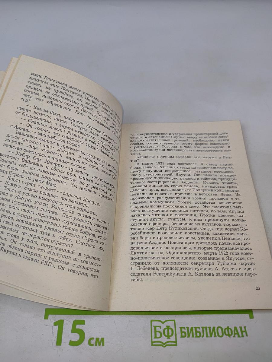 Поход за последним «Тигром»
