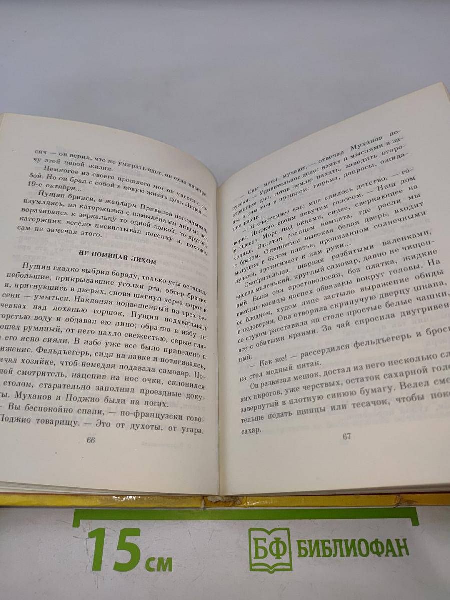 Друг бесценный, или Восемь дней на пути в Сибирь