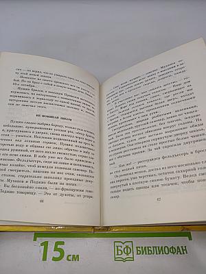 Друг бесценный, или Восемь дней на пути в Сибирь